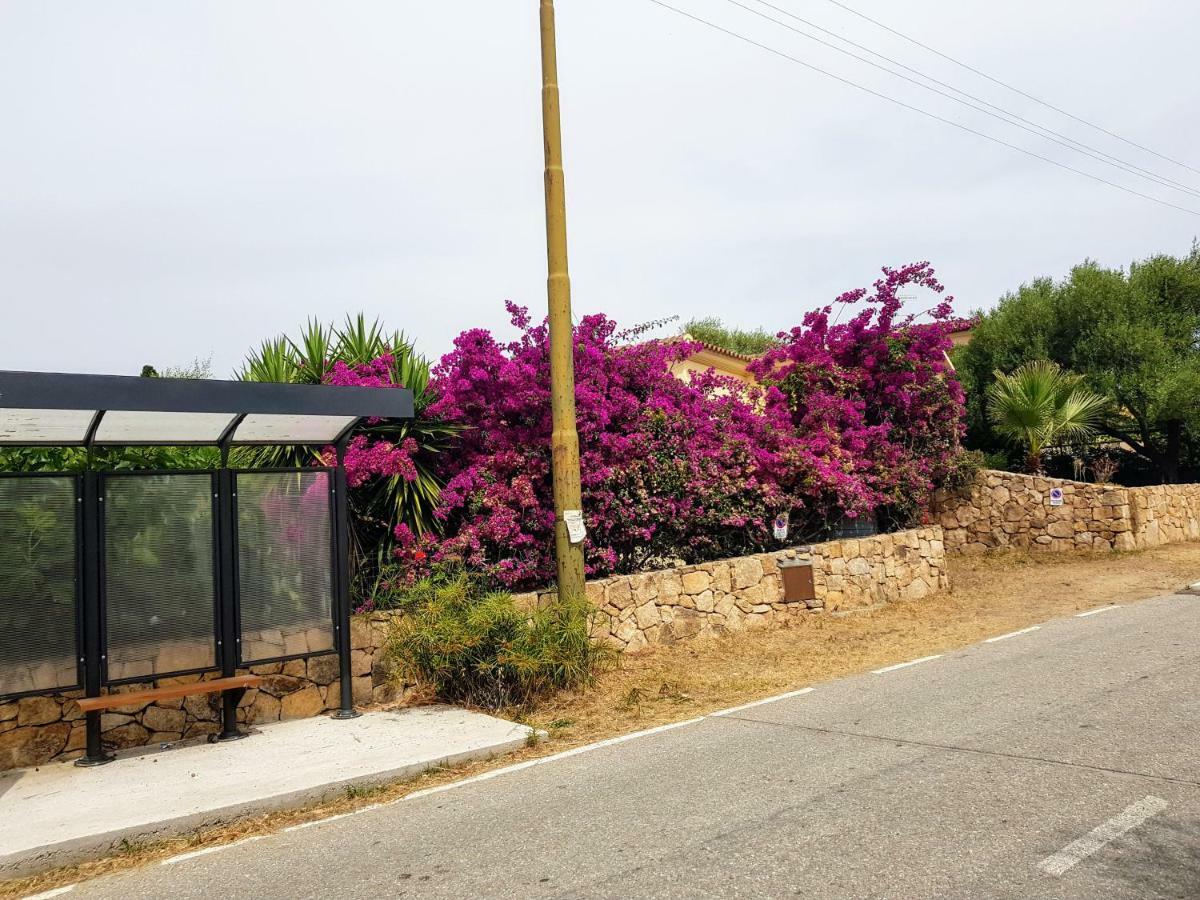 Villa Dettori San Teodoro  Exterior photo